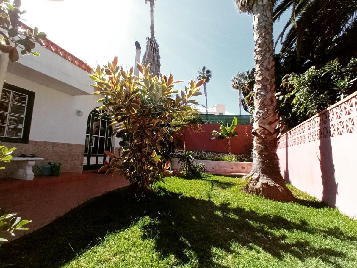 הוילה איקוד דה לוס וינוס Finca Los Pajaritos מראה חיצוני תמונה
